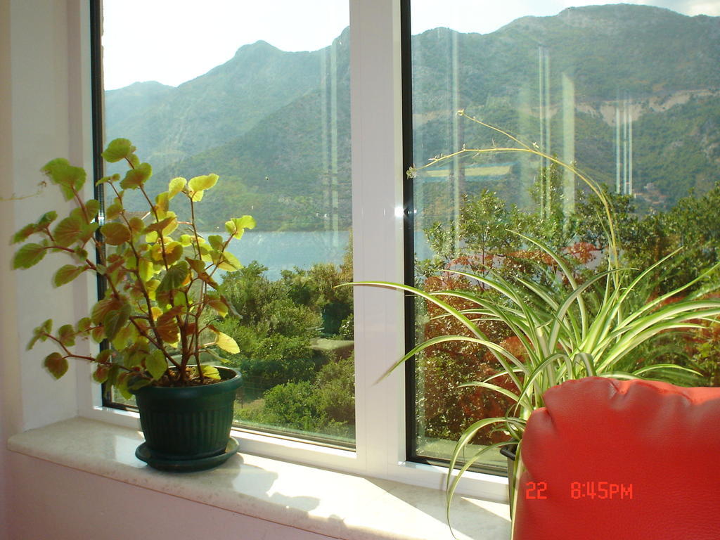 Apartments Risan Habitación foto